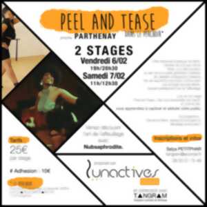 photo Stage d'effeuillage burlesque