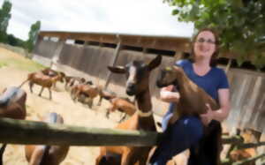 photo Le Bois des Louvières