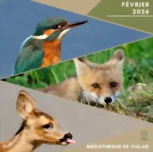 photo L'EXPOSITION VOISINS-VOISINES : À POIL, À PLUME, ILS HABITENT AVEC NOUS