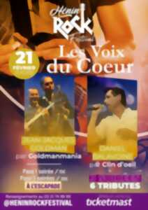 photo Hénin Rock Festival - Tribute à Goldman et à Balavoine