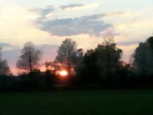 photo Visite guidée semi-nocturne