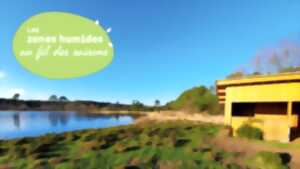 photo Balade découverte de l'étang de Langouarde.