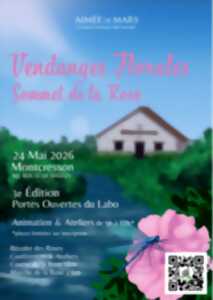 photo Vendanges florales-sommet de la rose