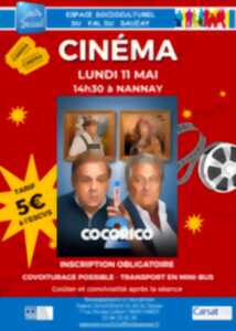 Sortie cinéma à Nannay - Film : Cocorico  - Proposée par l'ESCVS