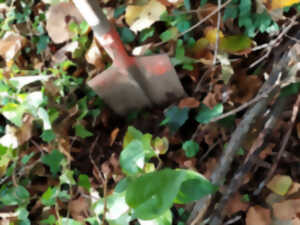 photo Les outils au jardin : comment s'économiser et économiser