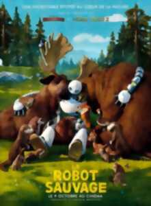 photo Projection Dessin Animé  