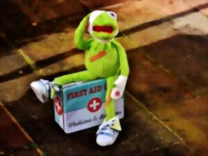 photo Mercredis nature : SOS animal sauvage en Détresse !