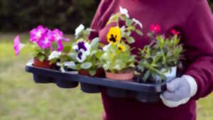 photo Fête des fleurs