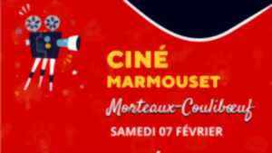 photo Ciné Marmouset