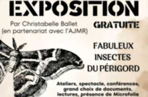 photo Exposition | Fabuleux insectes du Périgord