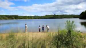 photo Eté actif - « Libellules »