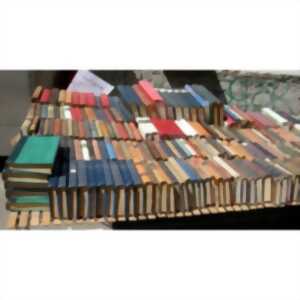 photo FOIRE AUX LIVRES