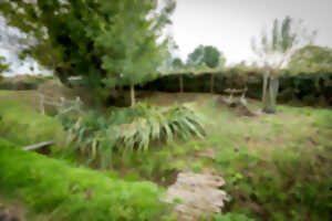 photo Secrets de Pays : Entre pierre et sources