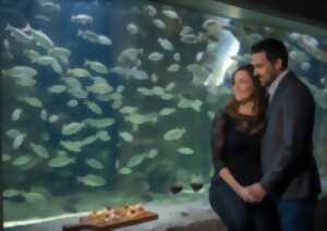photo Saint Valentin à l'Aquarium de Touraine