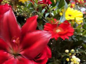 photo SANT JORDI - L’ITINÉRAIRE DU LIVRE