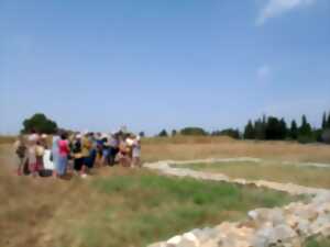 photo VISITE GUIDÉE DE RUSCINO