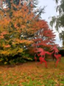 photo Visite du jardin habité de St Georges