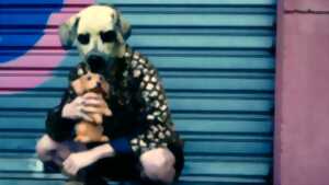 photo Festival SPRING : Vilain chien