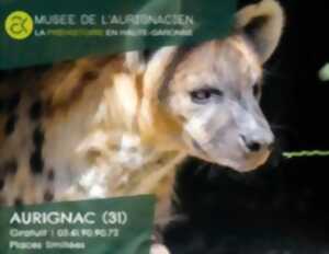 photo CAFE PREHISTOIRE