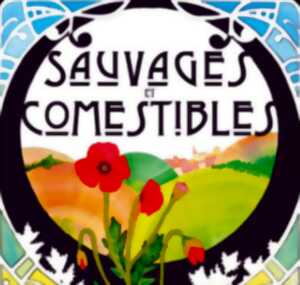 photo EXPOSITION - IDOINE