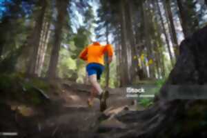 photo COURSE AUX ETOILES