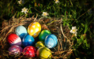 photo Chasse aux oeufs