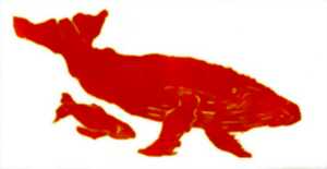 photo Bêtes à graver