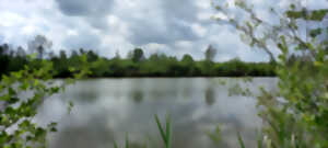 photo Sortie nature à Liesse-Notre-Dame : 