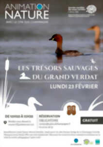 photo Animation nature : Les trésors sauvages du Grand Verdat