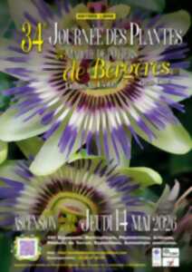 photo 34ème Journée des Plantes