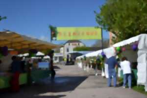 photo 20ème Foire aux vins et produits des terroirs