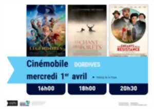 photo Séance de cinéma à Dordives