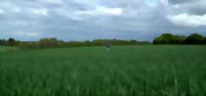 photo Ciné discussion