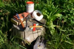 photo Stage d'initiation à la taille des arbres