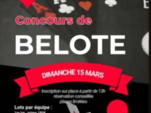 photo Concour de Belote de Jon et les cafards