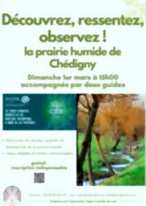 photo Découvrez, observez les plantes et insectes des prairies humides