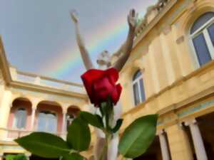 photo SANT JORDI - LA ROSE DANS TOUS SES JARDINS