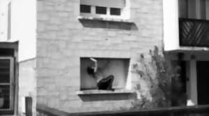 photo Chiendent et Brèches