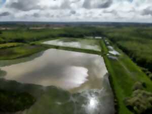 photo Journée mondiale des Zones Humides
