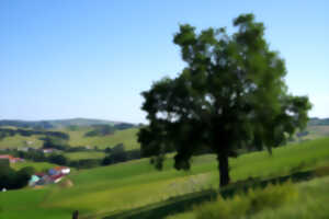 photo Papa T'Trail : trail et marche solidaire