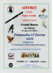 photo Bourse aux oiseaux à Aiffres