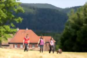 photo Sentiers Plaisir : Sentier 4 pattes