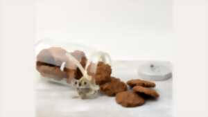 photo Atelier Cookie pour les petits chefs