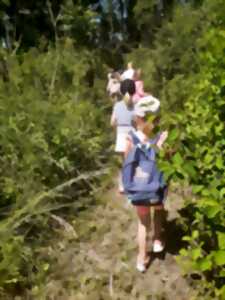 photo La Nature dans l'Objectif