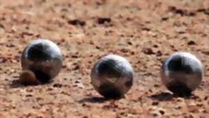 photo Concours de Pétanque