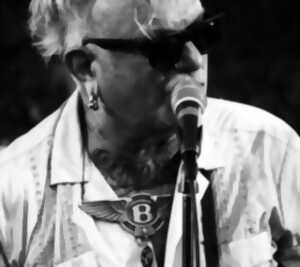 photo Festival Les Enchanteurs - Sanseverino shuffle enterprise + Lise Cabaret