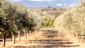 photo DE PIERRES ET D'OLIVIER : VISITE DE GIGNAC ET HALTE GOURMANDE