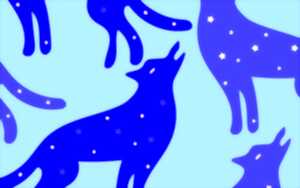 photo Soirée pyjama: Gare aux loups