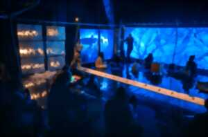 photo Théâtre d'objet musical : Mira Mundi - Cie Melodiam Vitae