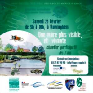 photo Une mare plus visible et vivante